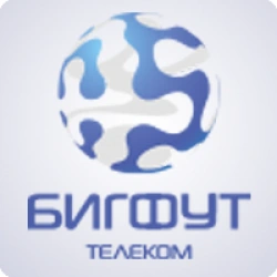 БигФут Телеком