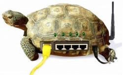 Цензура, скорость в 24 Мбит/с или полное отключение от зарубежного интернета: прогнозы зарубежных аналитиков про сеть в России