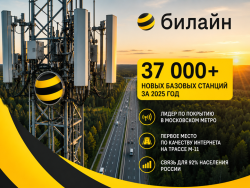 37 тысяч новых вышек за год: как Билайн спорит с T2 за лидерство